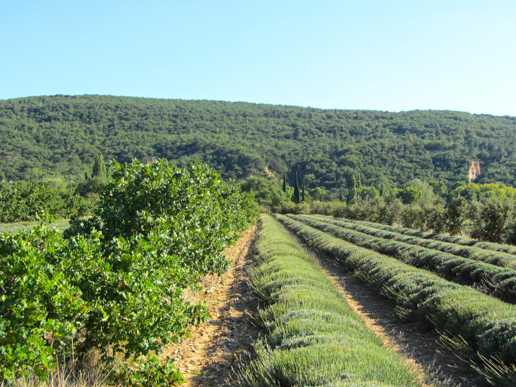 Gites De La Croix Du Gres (Adults Only) Valaurie Εξωτερικό φωτογραφία