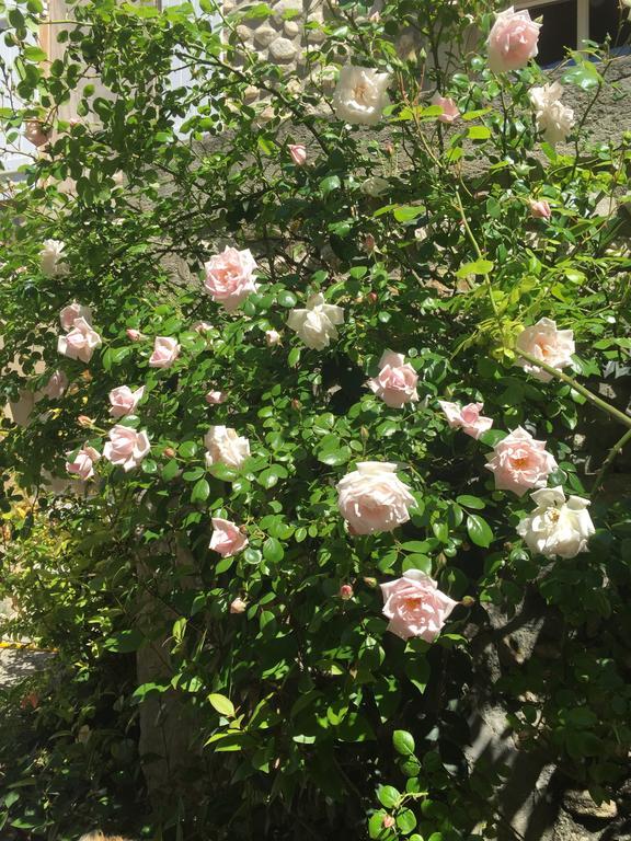 Gites De La Croix Du Gres (Adults Only) Valaurie Εξωτερικό φωτογραφία