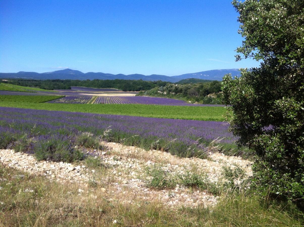 Gites De La Croix Du Gres (Adults Only) Valaurie Εξωτερικό φωτογραφία