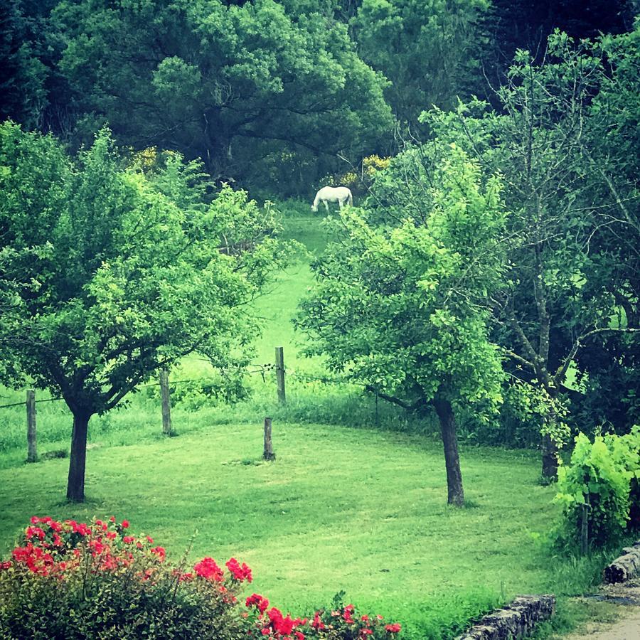 Gites De La Croix Du Gres (Adults Only) Valaurie Εξωτερικό φωτογραφία
