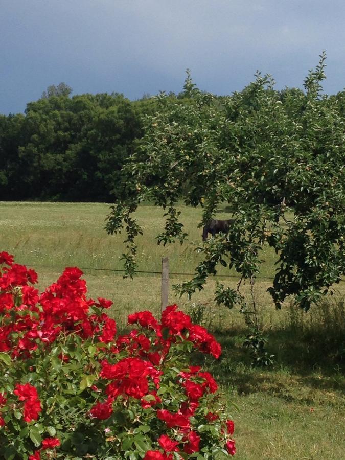 Gites De La Croix Du Gres (Adults Only) Valaurie Εξωτερικό φωτογραφία